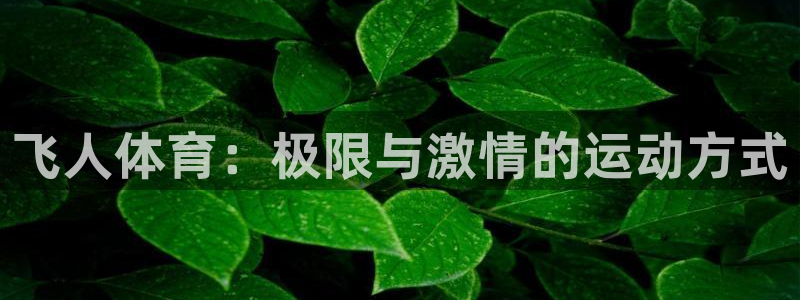w88体育