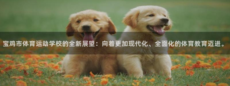 88体育黑标：宝鸡市体育运动学校的全新展望：向着更加现代化、全面化的体育教育迈进。