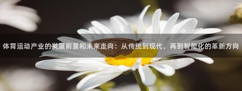 88体育app直播最新版