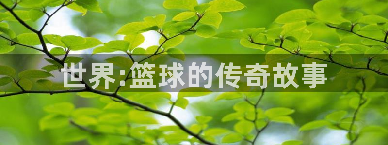 hg888体育：世界:篮球的传奇故事