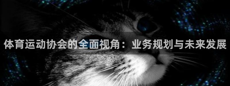 88体育羽毛球教练：体育运动协会的全面视角：业务规划与未来发展