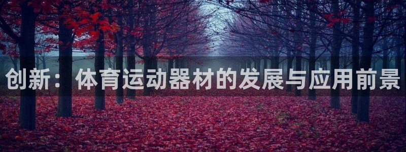 88体育节