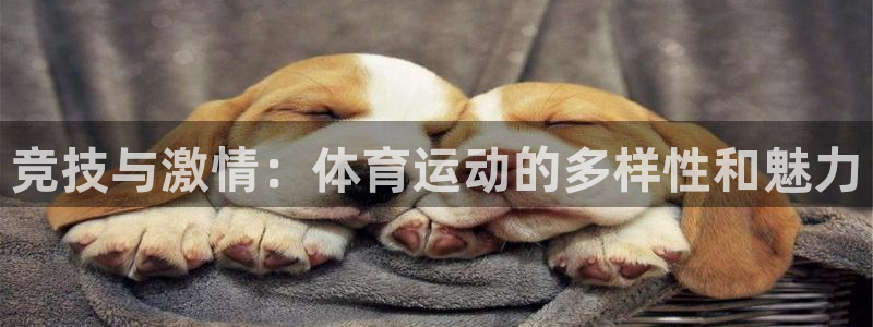 88体育app下载入口官网