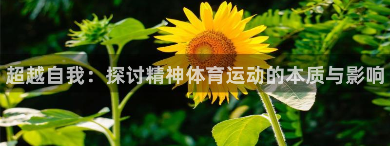 88体育靠谱吗